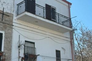Bovino tri locale