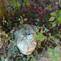 Rana in sasso da giardino