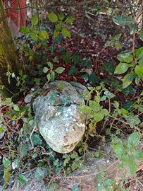 Rana in sasso da giardino