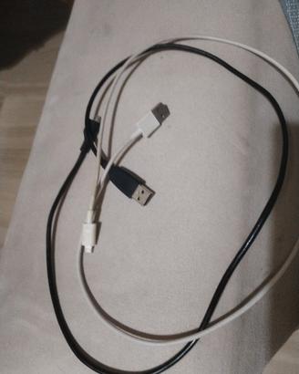 Coppia di cavi micro Usb