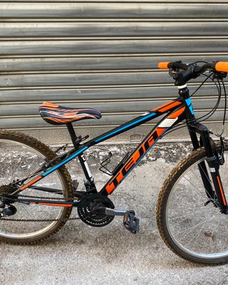Mountain bike come nuova