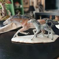 coppia cavalla con puledro