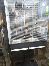gabbia 