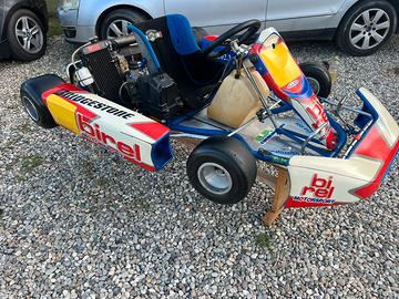 Go kart 125cc 2t rotax fr125 max G.P.racing birel