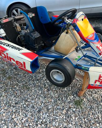 Go kart 125cc 2t rotax fr125 max G.P.racing birel