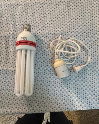 Lampada Phytolite 125W 2100K + portalampada