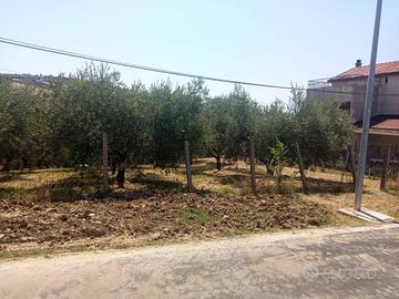 Terreno di 1365 m² a Castel Frentano
