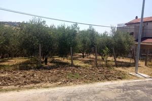 Terreno di 1365 m² a Castel Frentano