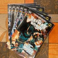 Lotto Spillati Batman e Robin di “Williamson”