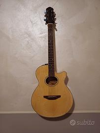 chitarra acustica amplificata + ampli