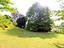 Immagine 9