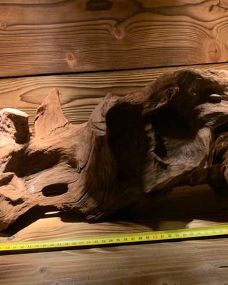 Legno africano per acquario di grandi dimensioni