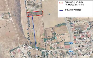 Terreno agricolo ad uso uliveto