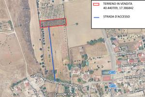 Terreno agricolo ad uso uliveto