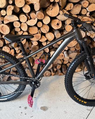 Mtb Giant STP 26 kids 2024