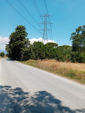 Terreno agricolo seminativo 88000mq Fauglia