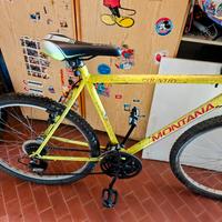 bicicletta MTB 
