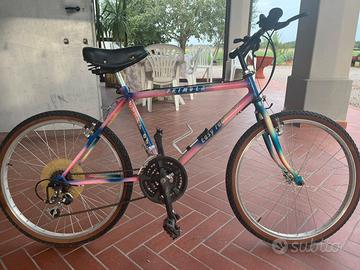 Mountain bike perfetta