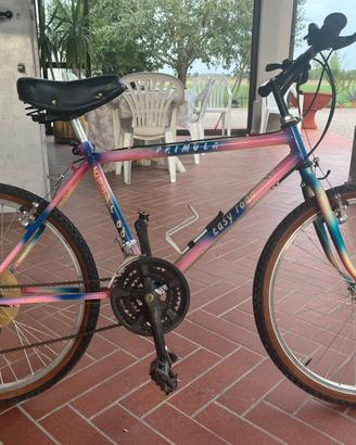 Mountain bike perfetta
