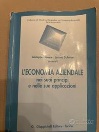 Libro economia aziendale Giappichelli editore 2022