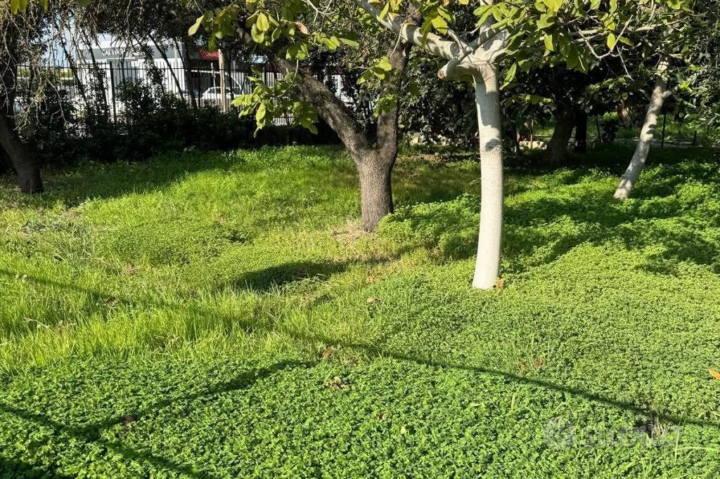 Terreno di 1376 m² a Taranto - Altro