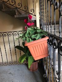 Set 2 vasi balconette