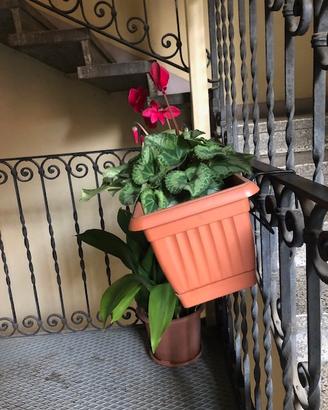 Set 2 vasi balconette