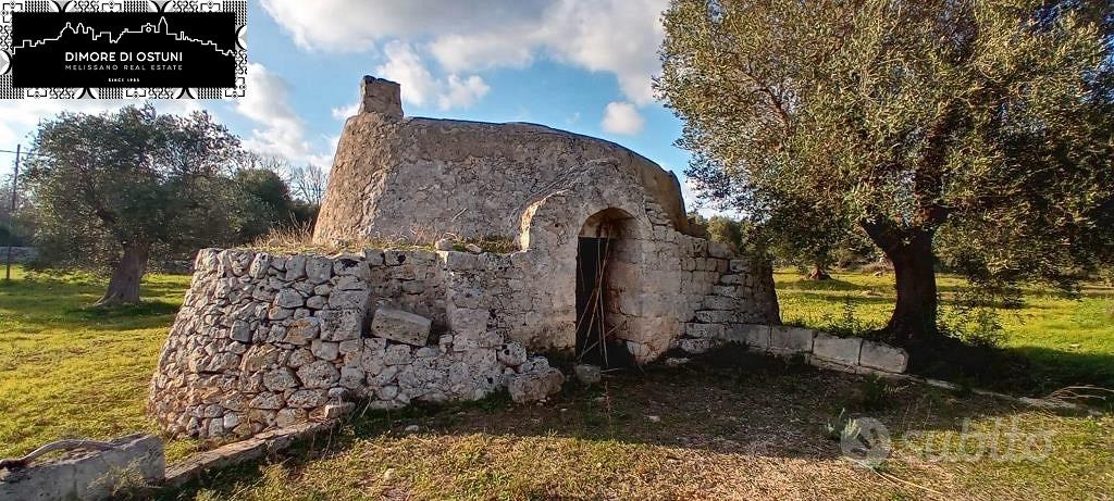 LAMIA DELL' ULIVO con TERRENO 7000mq - OSTUNI - Vista 2