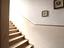 Immagine 15