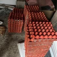 PANNELLI UOVA COLORATI