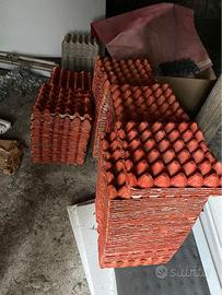 PANNELLI UOVA COLORATI