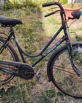 Biciclette