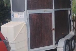 trailer per cavalli 