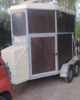 trailer per cavalli 