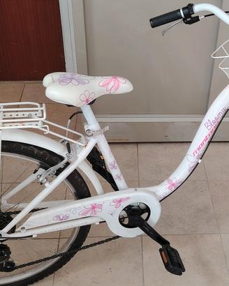 Bicicletta marca Montana