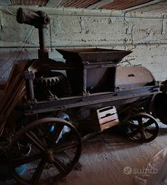 PIGIATRICE UVA ANTICA