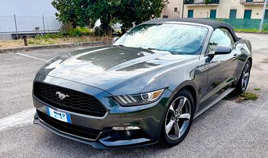 Ford Mustang America