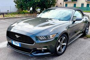 Ford Mustang America