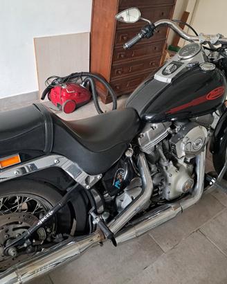 Harley davidson softail standard 2000