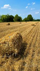 Fieno e paglia in ballette e balloni