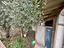Immagine 25