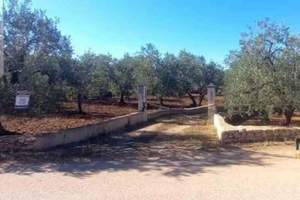 Terreno la chiacchiola San Vittore