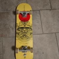 skateboard rodriguez