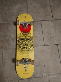 skateboard rodriguez