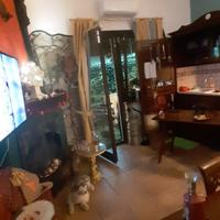 Confortevole bilocale in villa con giardino