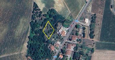 Terreno agricolo