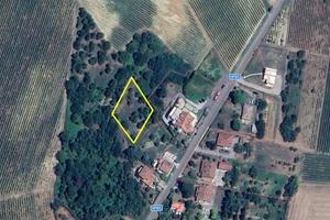 Terreno agricolo
