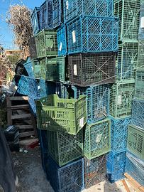 Cassetta per frutta