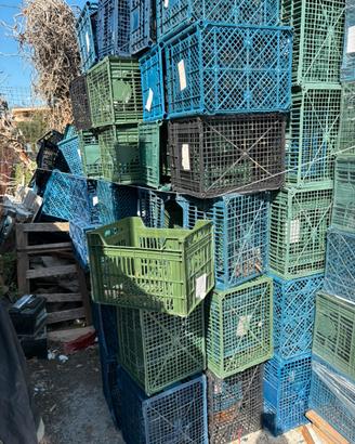 Cassetta per frutta
