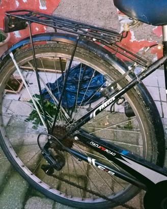 Bicicletta da uomo